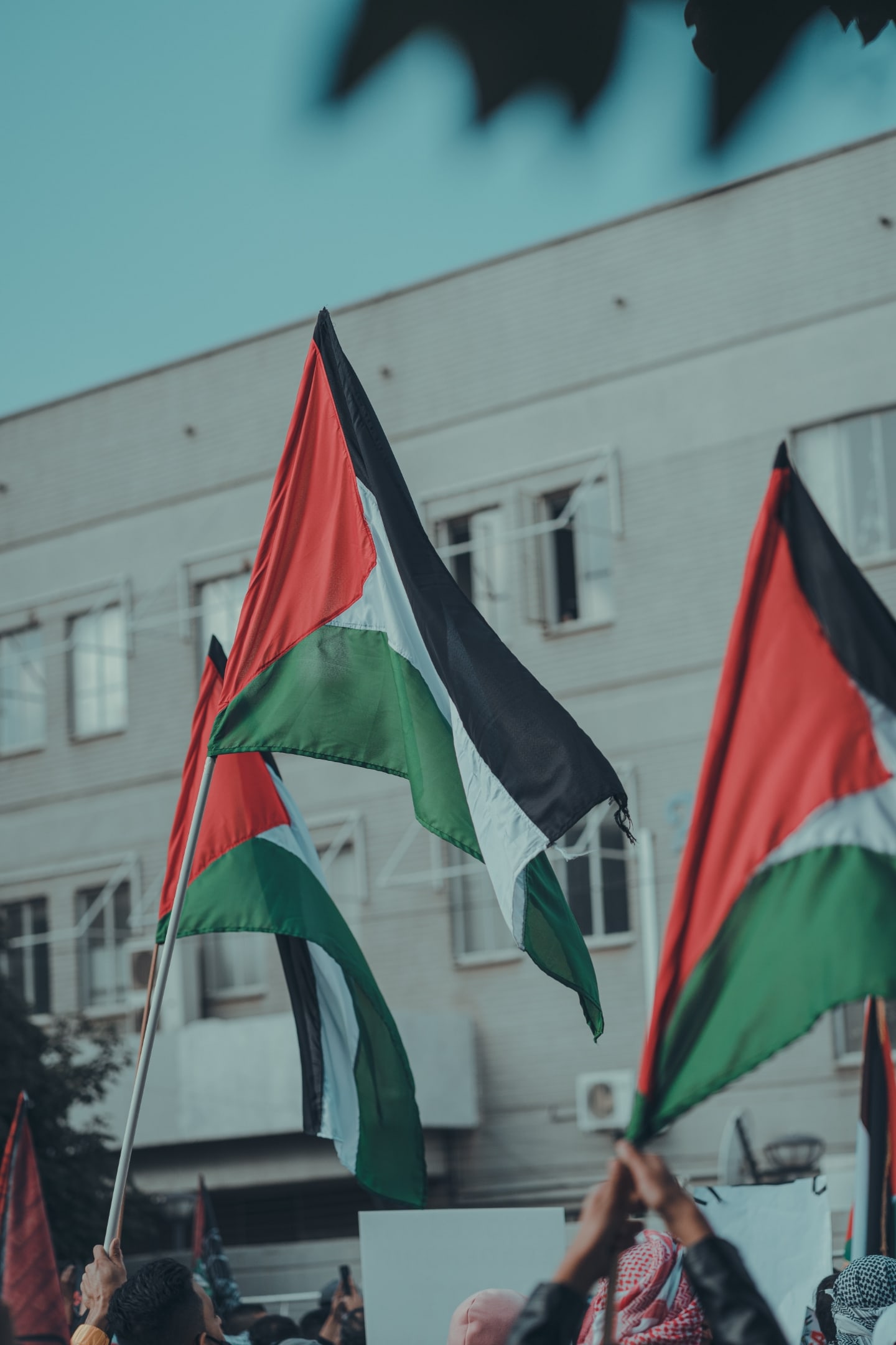 Free Speech and Palestine Advocacy: What You Need to Know by MLFA’s Civil Litigation Department